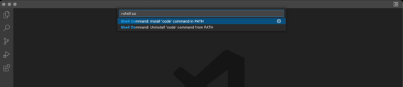 vs code no path