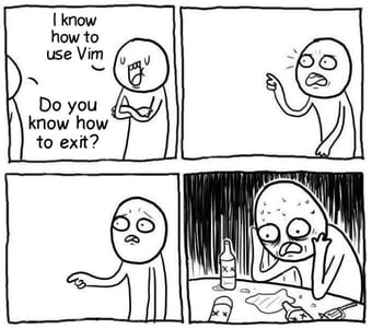 I know how to use VIM