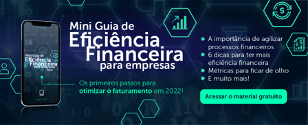 mini guia de eficiência financeira para empresas